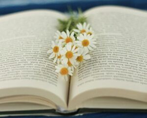 Read more about the article Światowy Dzień Książki i Praw Autorskich w MBP – 23.IV.