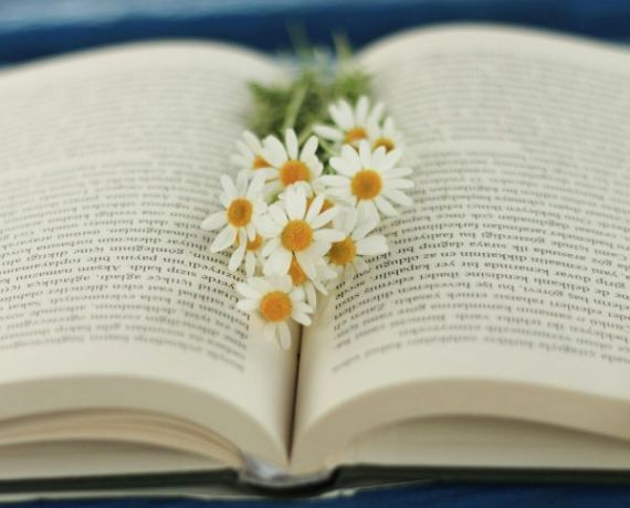 swiatowy_dz_ksiazki_i_praw_autorskich_2026_wbp