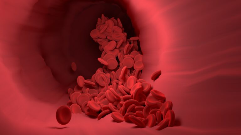 vector8diy-red-blood-cells-4256710