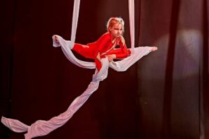 Read more about the article Gala Zakończenia Sezonu Aerial 2026 – Hala Sportowa PL 27-28.VI.