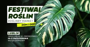 Read more about the article Festiwal Roślin -Targi Lublin 10-11.XI.